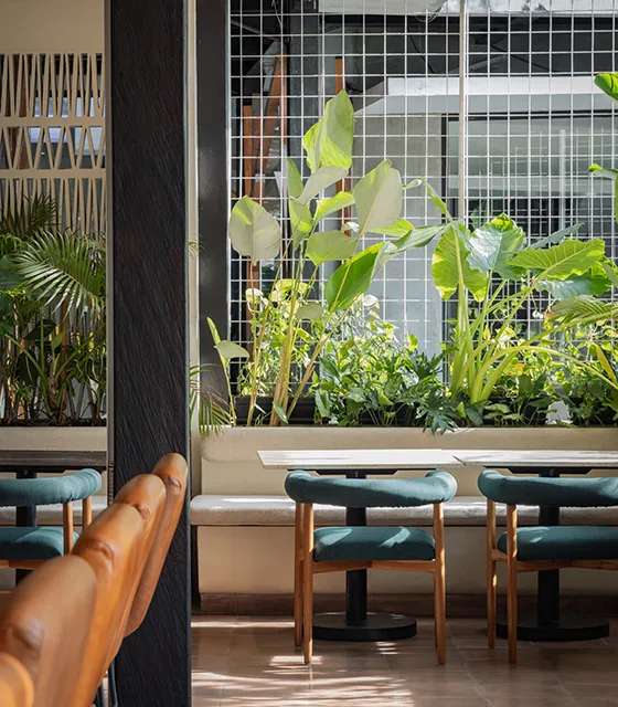 Lush Kitchen Restaurant & Bar Interior Design in Canggu