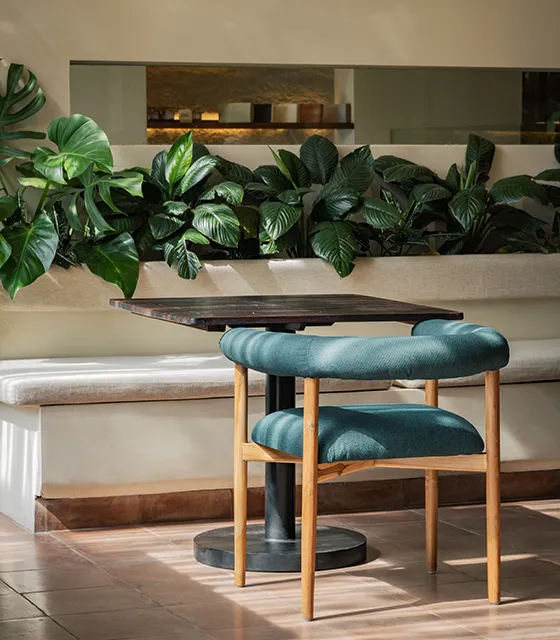 Lush Kitchen Restaurant & Bar Interior Design in Canggu