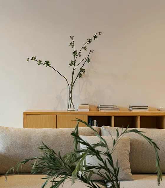 AS House Residential Interior Design Project