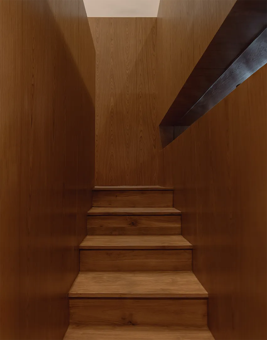 Hungry Bird by Samma Studio