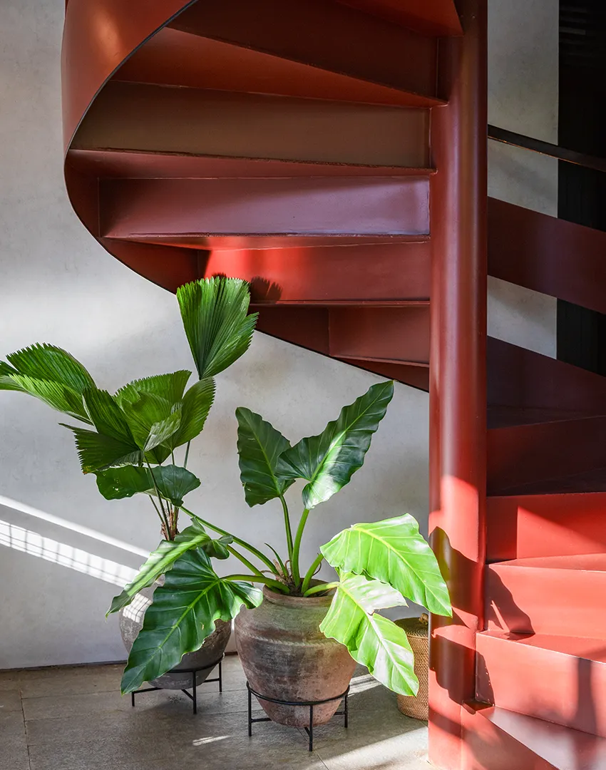 Noonik Bistro Restaurant & Bar Interior Design in Ubud