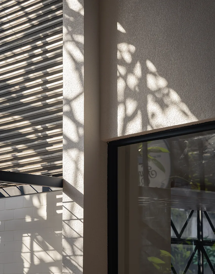 Hungry Bird by Samma Studio