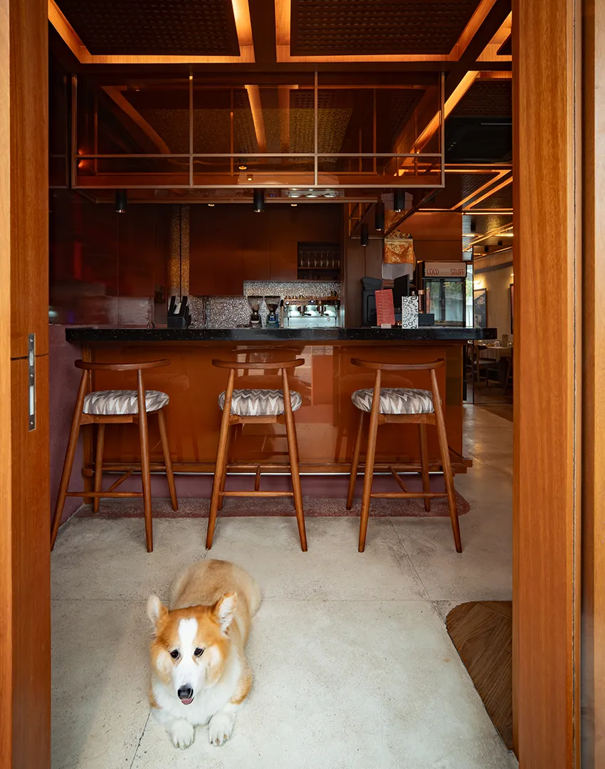 Creative restaurant interior design