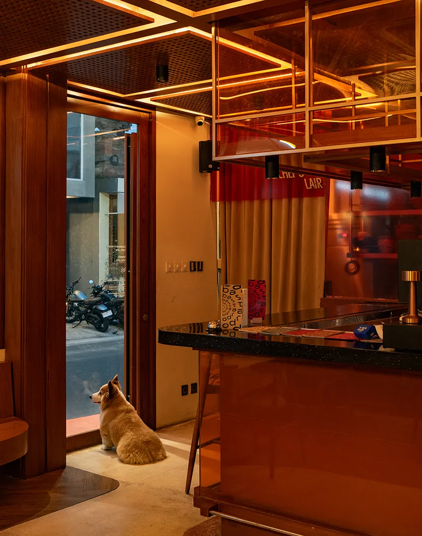 Creative restaurant interior design