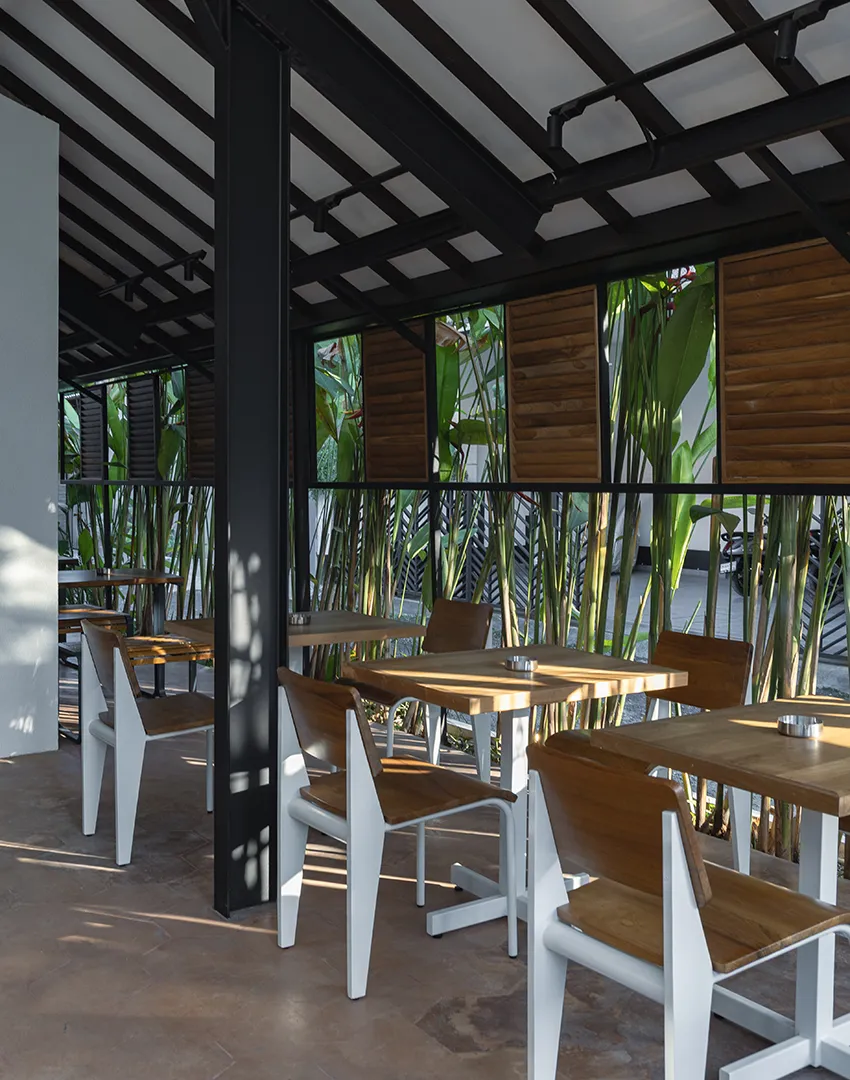 Hungry Bird by Samma Studio