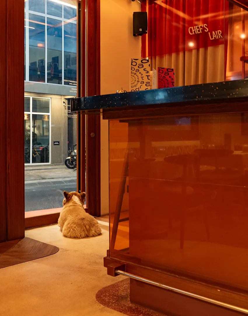 Creative restaurant interior design