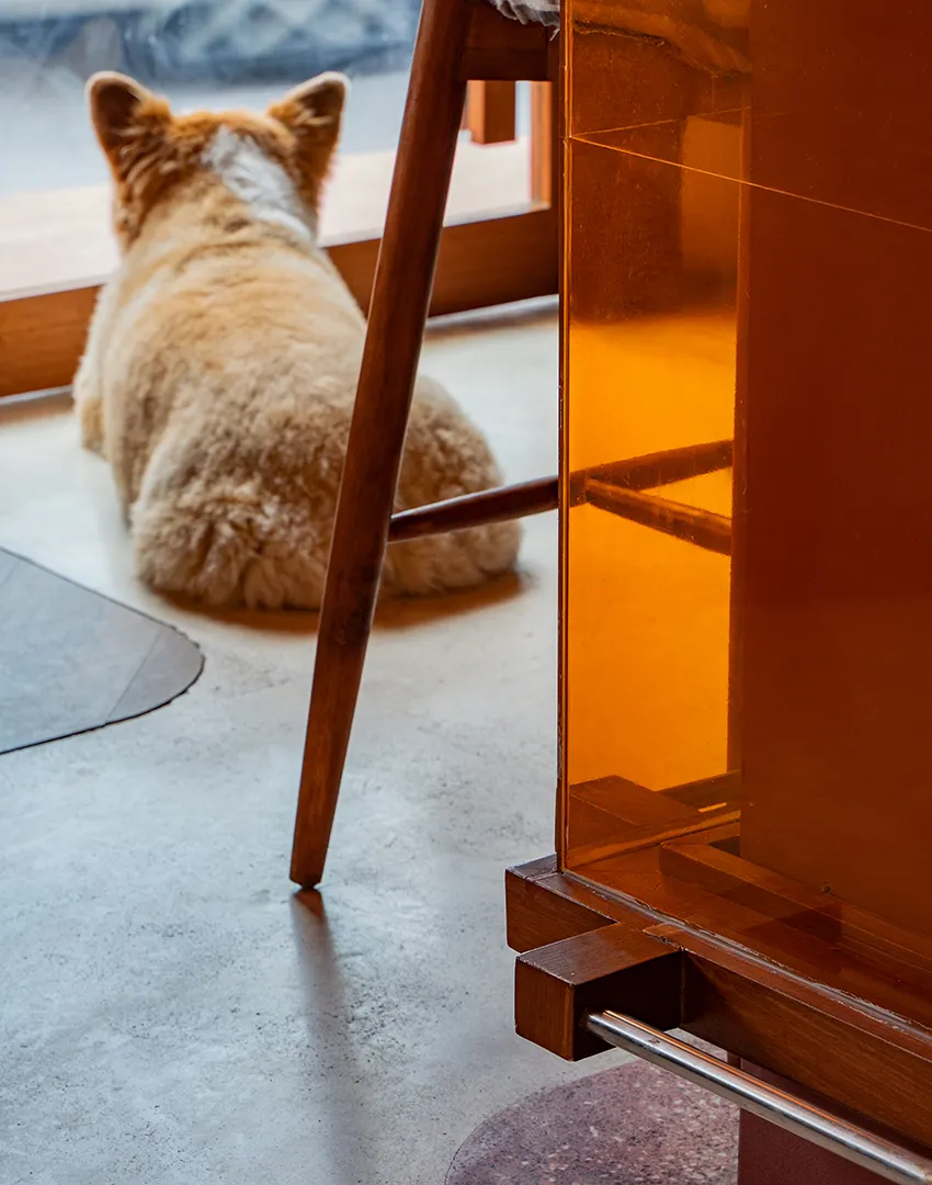 Creative restaurant interior design